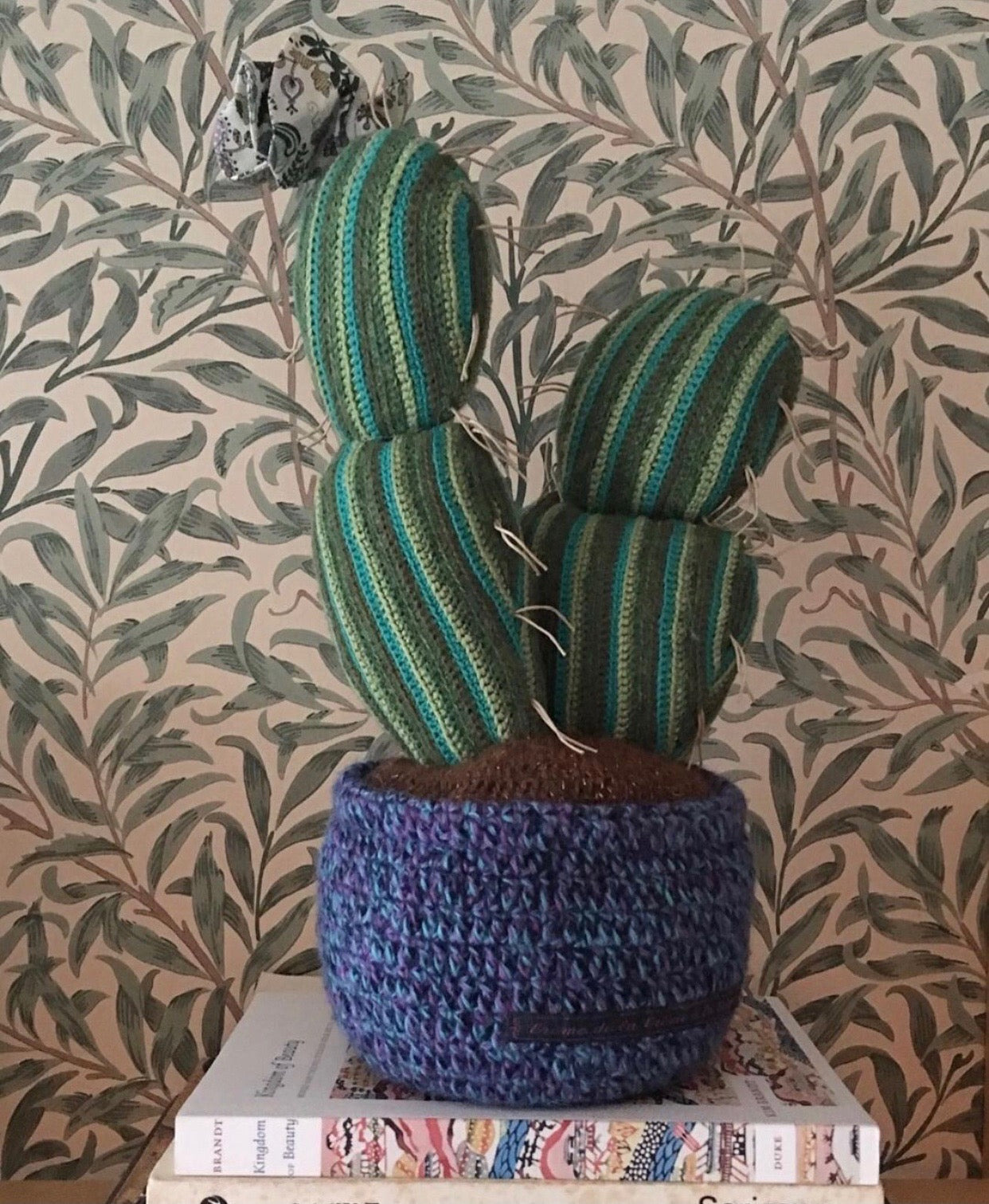CACTUS - CRÈME de la CRÈME à la HELLE