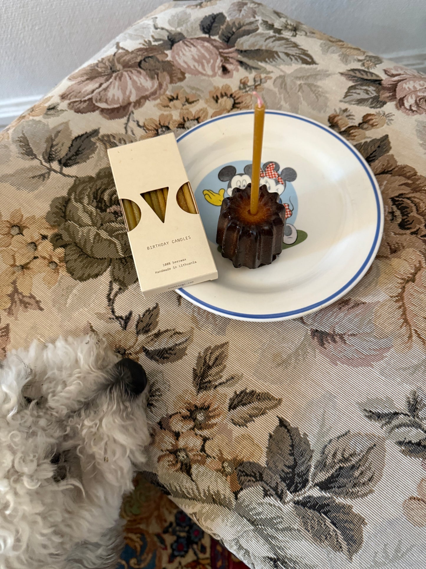 BIRTHDAY CANDLES