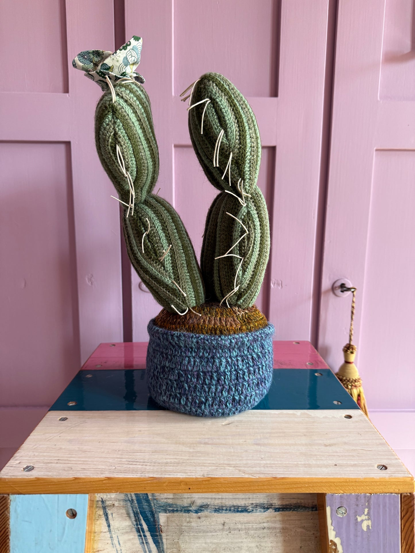 CACTUS - CRÈME de la CRÈME à la HELLE