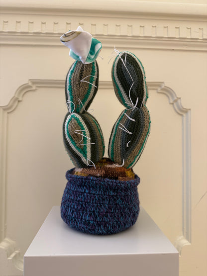 CACTUS - CRÈME de la CRÈME à la HELLE