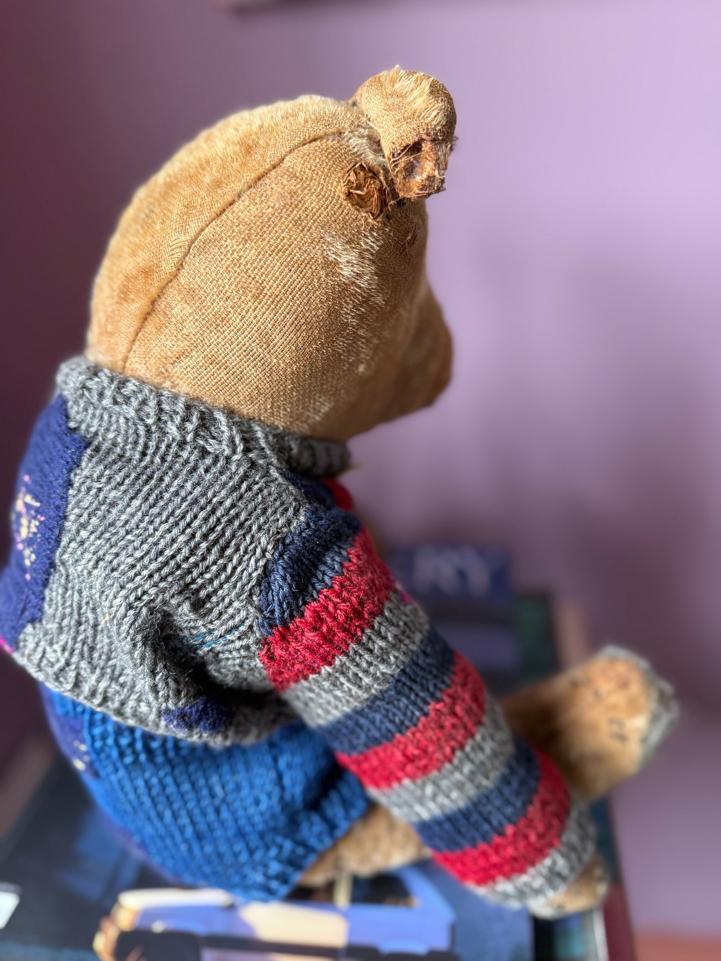 THE OLD BEAR FROM THE WOODS - TEDDY BEAR